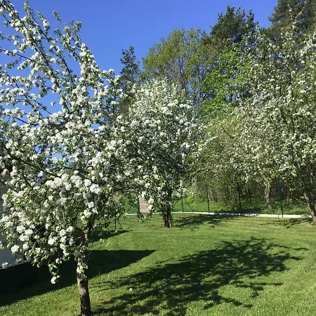 Дом отдыха Aruvaelja Summerhouse Lassi