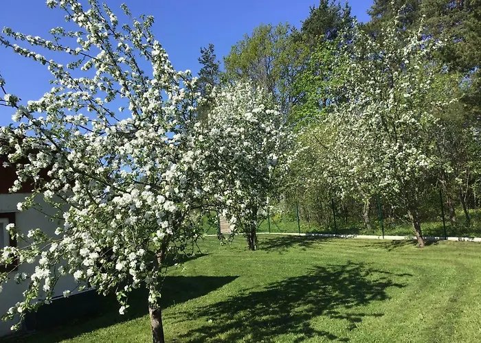 Semesterbostad Aruvaelja Summerhouse Lassi